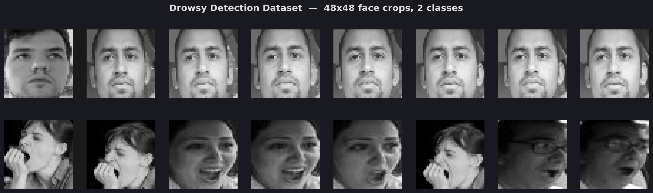 Drowsy Detection Samples